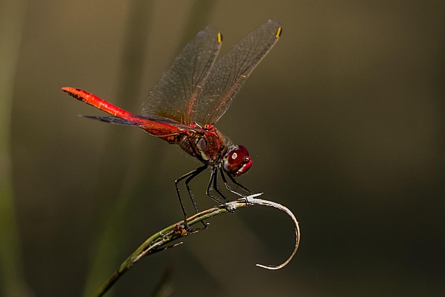 documento legal y cuaderno educativo en un escritorio de estudio en Madrid